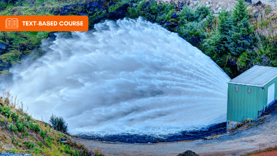 FEMA: Impacts of Plants on Earthen Dams